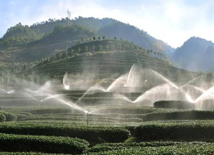 安康 茶園智能噴灌項(xiàng)目